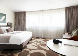 une chambre d'hôtel avec un grand lit et un canapé