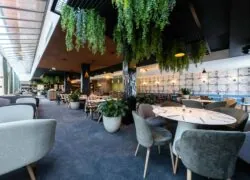 a restaurant with tables and chairs and plants hanging from the ceiling