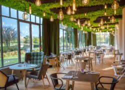 a restaurant with tables and chairs and a green ceiling