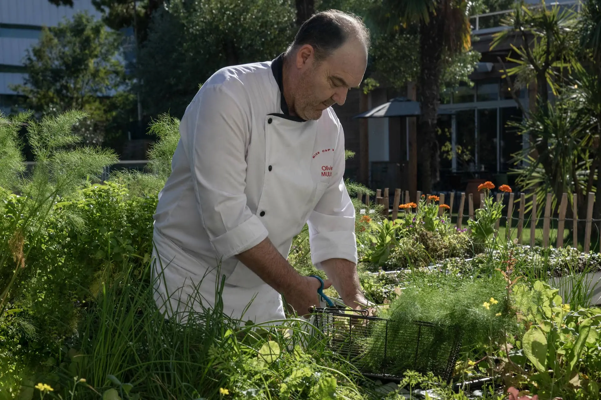 un homme en uniforme de cuisinier travaille dans un jardin