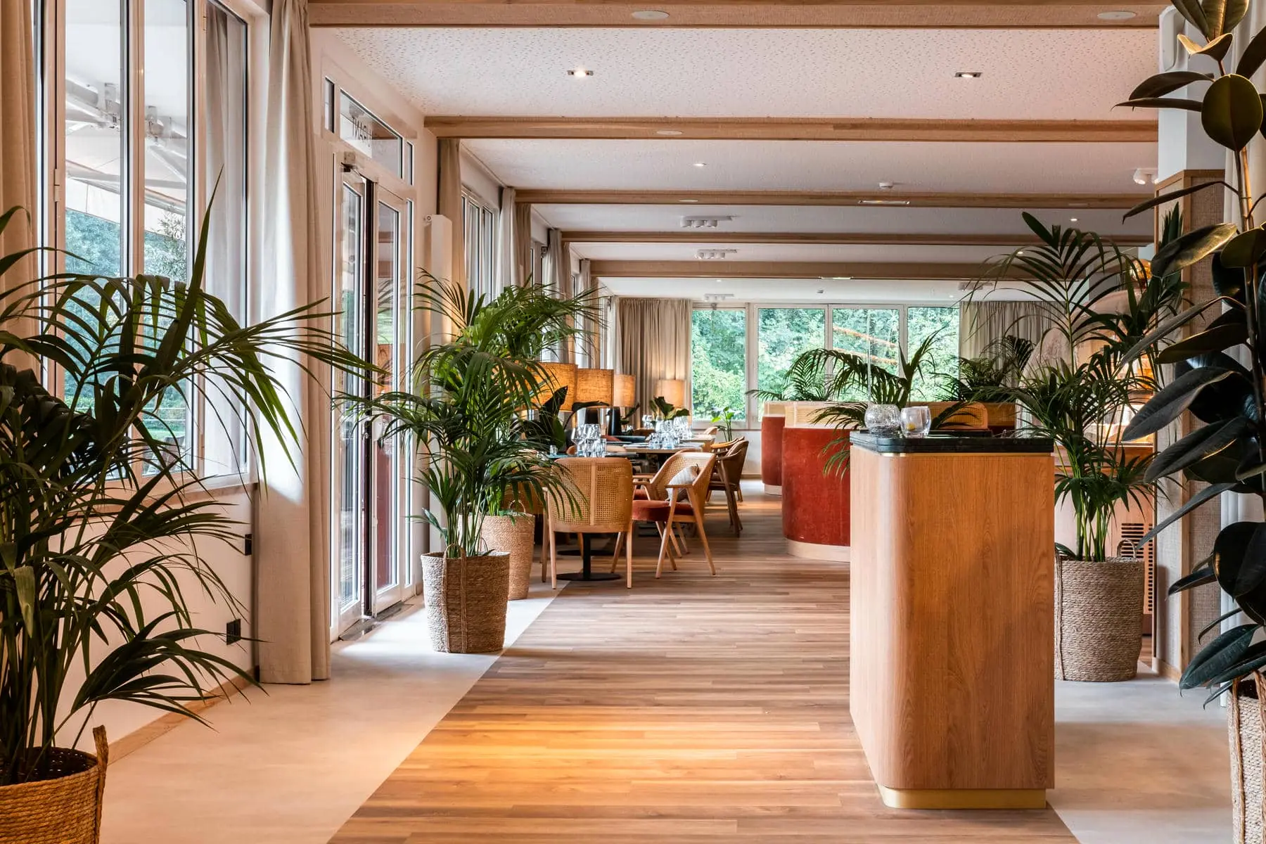 un restaurant avec beaucoup de plantes, de tables et de chaises