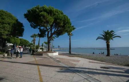 un groupe de personnes marchant sur un trottoir près de l'océan