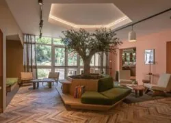 une pièce avec un arbre en son centre