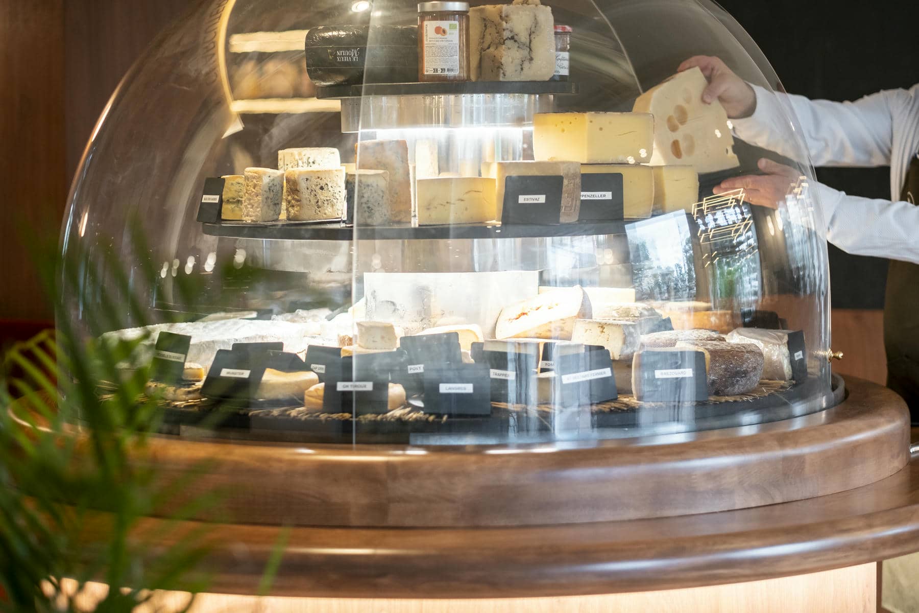 une variété de fromages est exposée sous un dôme de verre