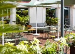 un patio avec des tables et des chaises et des parasols verts