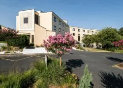 un grand bâtiment devant lequel se trouvent des fleurs roses