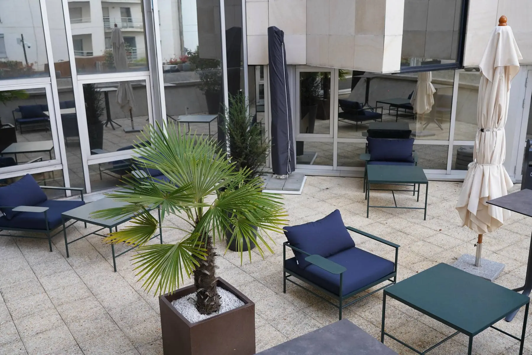 un patio avec des chaises, des tables, des parasols et un palmier