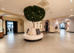 une pièce avec un arbre et un panneau sur lequel est écrit "boutique