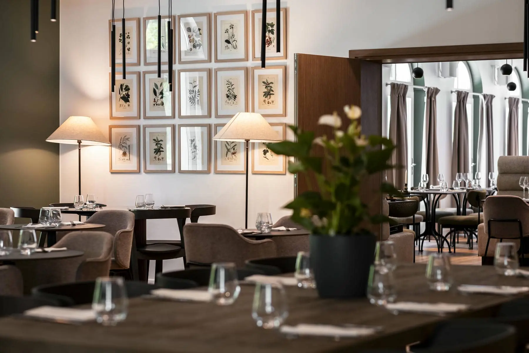 une salle à manger avec une plante devant un mur orné de photos de plantes
