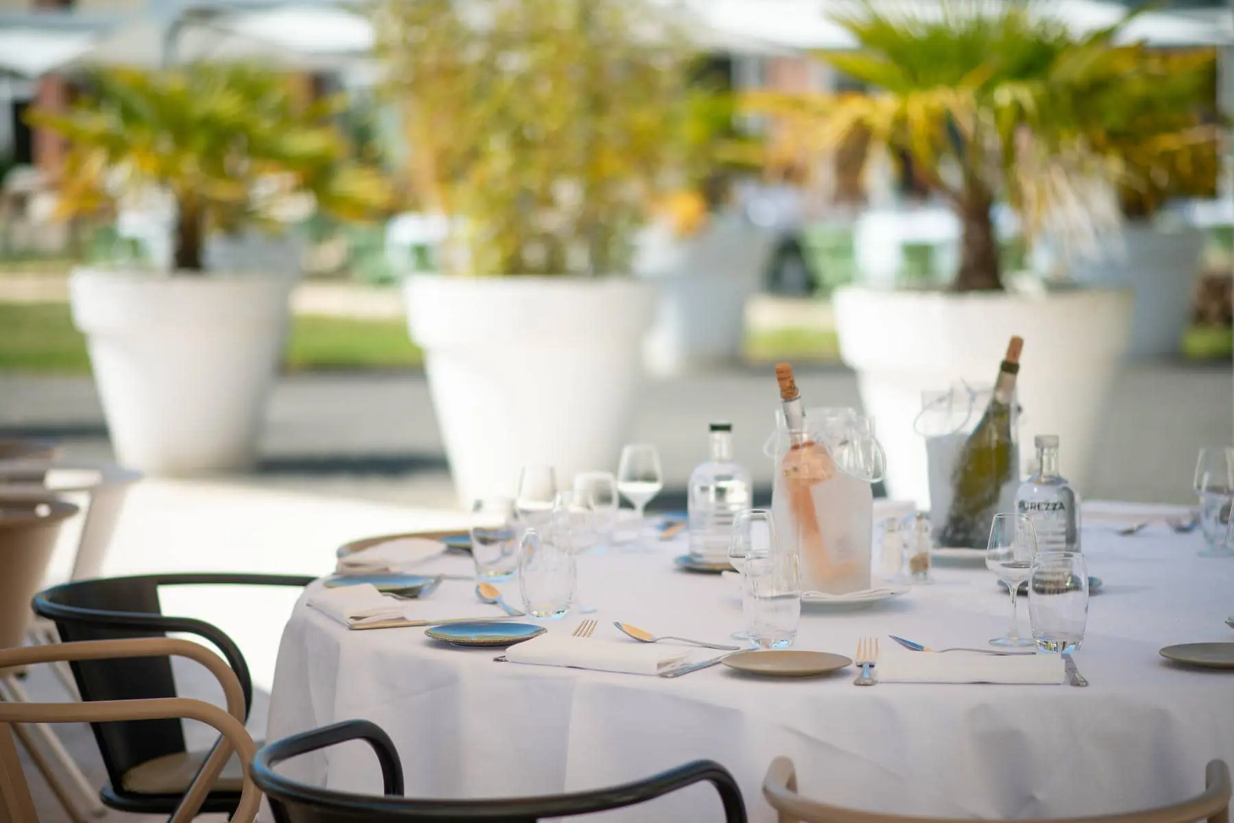 une table sur laquelle se trouve une bouteille d'eau santos