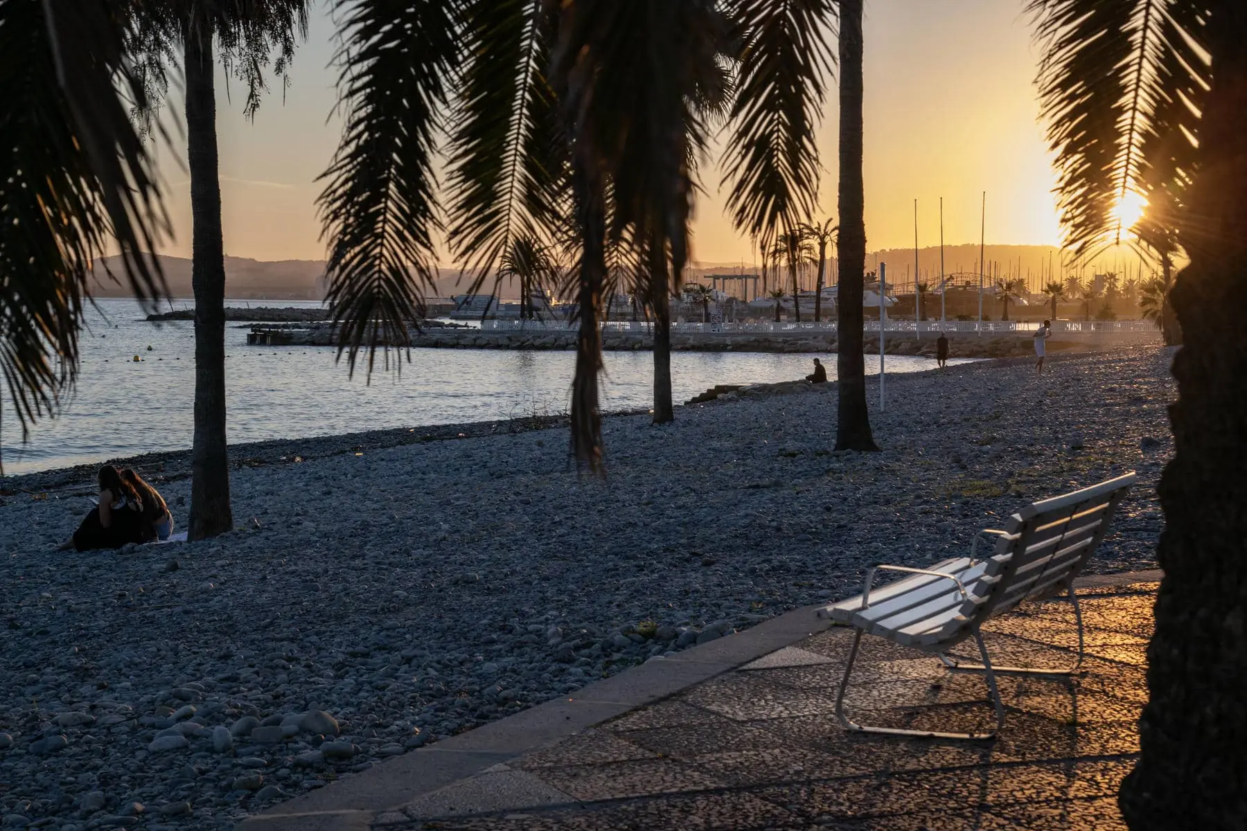 une femme assise sur une plage rocheuse sous des palmiers au coucher du soleil