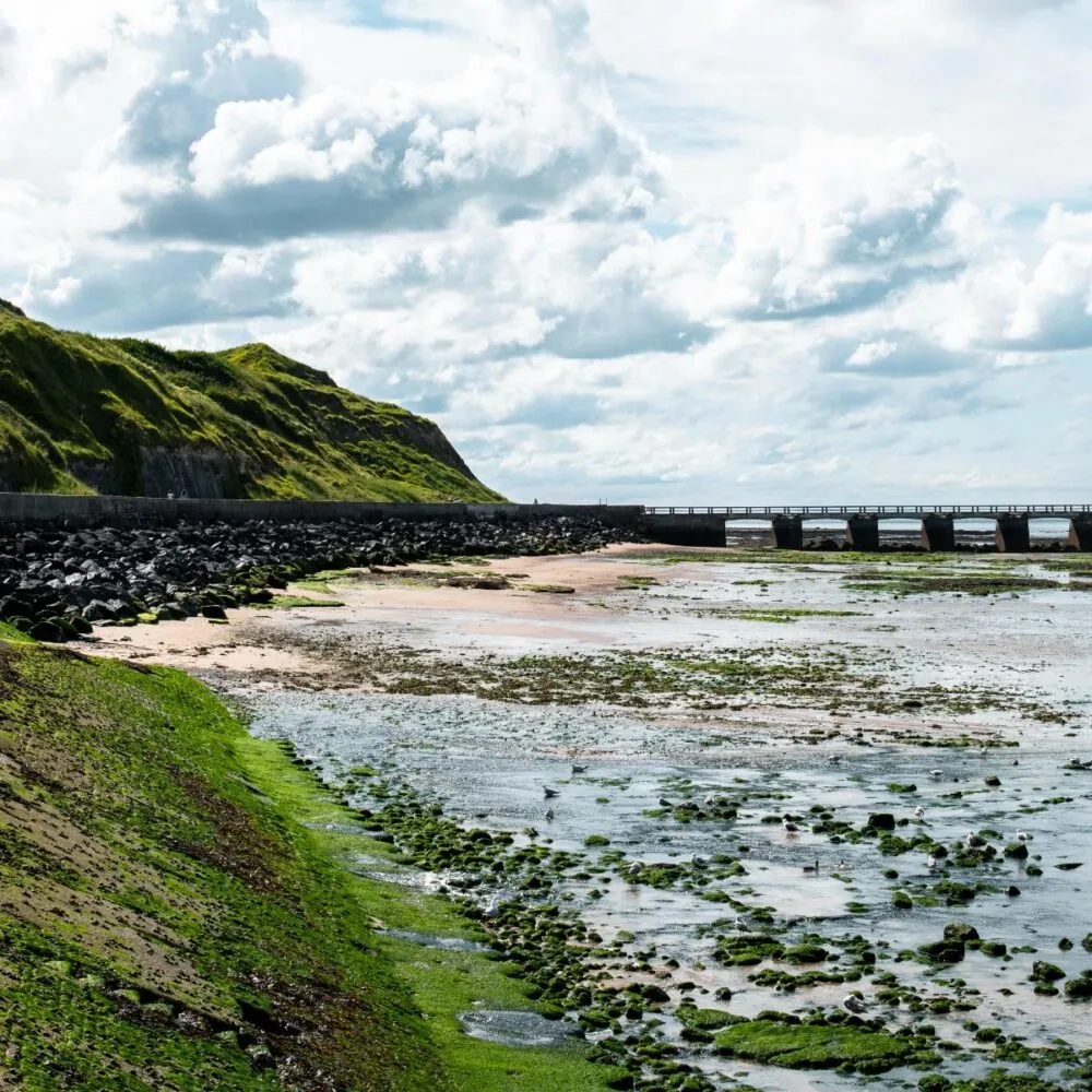 en::View of the cliff from the Omaha Beach golf course, with the sandy beach below and a visible pier. fr::Vue de la falaise depuis le golf d’Omaha Beach, avec la plage de sable en contrebas et un ponton visible.