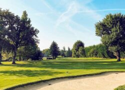 en::Park with trees and pines, bunker in the foreground with two rakes. fr::Parc avec arbres et sapins, bunker au premier plan avec deux râteaux.