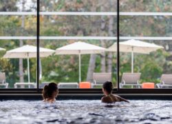 en::Pool with hot tub, two people relaxing with their backs turned, facing a bay window overlooking the park and solarium. fr::Piscine avec bain à remous, deux personnes de dos se détendant face à une baie vitrée ouvrant sur le parc et le solarium.
