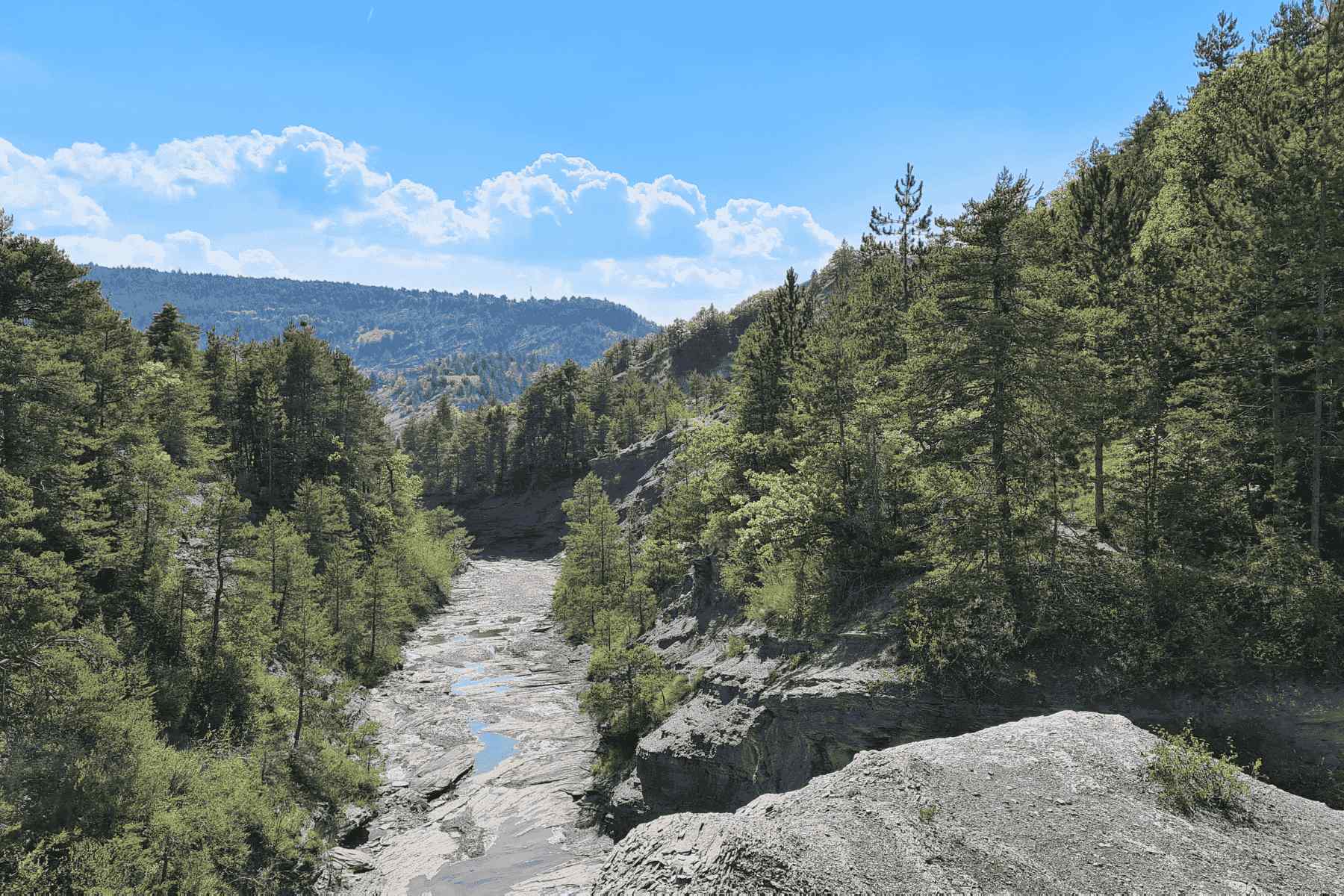 en::Mountain landscape between pine forest, grey rocks, and blue sky. fr::Paysage de montagne entre forêt de sapins, roches grises et ciel bleu.