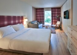 en::Large double bed with red and blue checkered headboard, matching curtains open onto mountain vegetation, wood wall, wooden dresser and grey sofa. fr::Grand lit double avec tête de lit à carreaux rouges et bleus, rideaux assortis ouverts sur la végétation montagnarde, mur en bois, commode en bois et canapé gris.