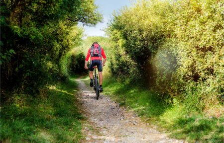en::Man seen from behind mountain biking in sportswear on a mountain path, surrounded by trees and bushes on both sides. fr::homme de dos en vtt en tenue de sport sur un chemin de montagne entouré d'arbres et de bosquets de chaque côté