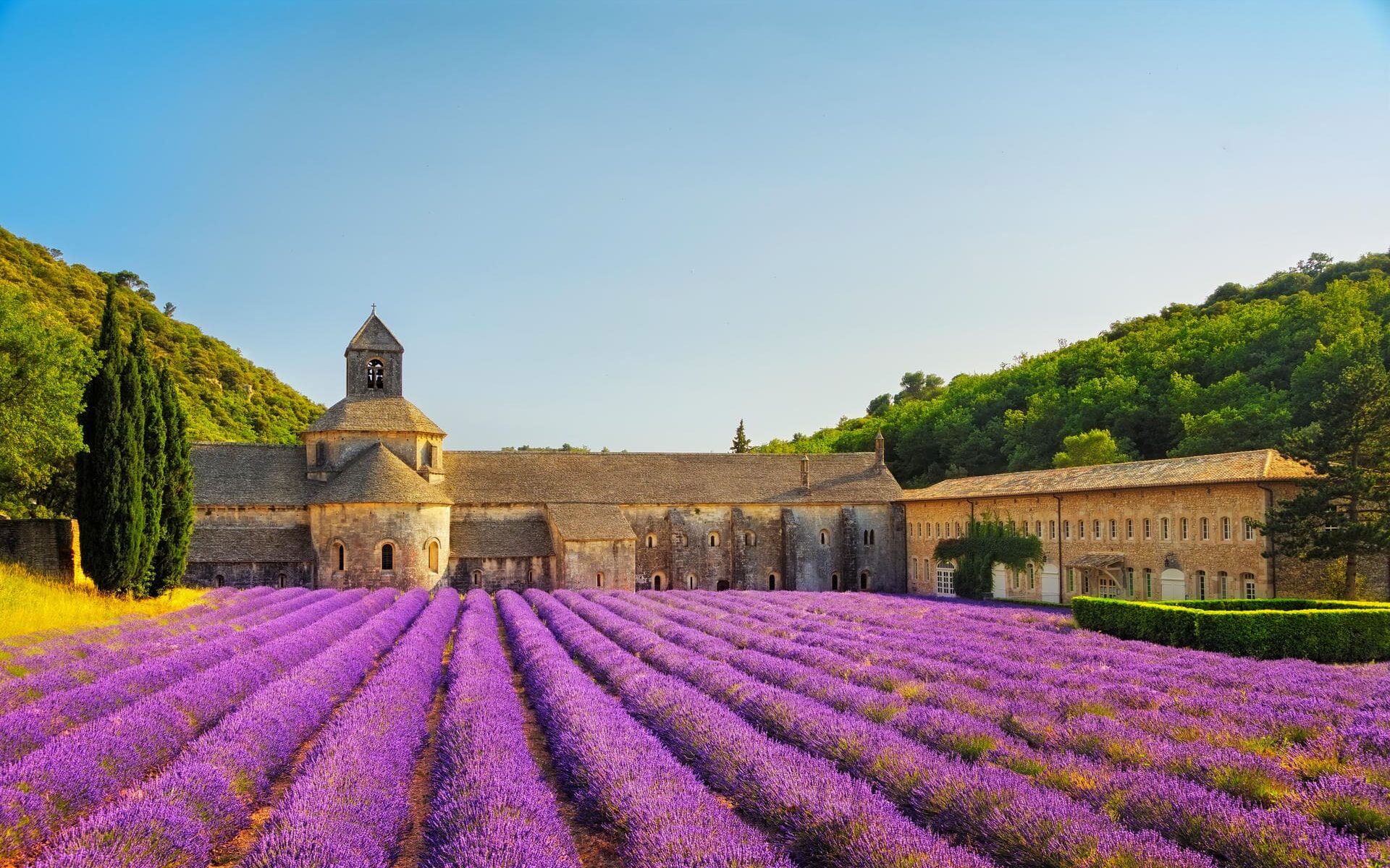 fr:: Abbaye de Sénanque et rangées de lavande en fleurs au coucher du soleil. Gordes, Luberon, Vaucluse, Provence, France, Europe. en:: Abbey of Senanque and blooming rows lavender flowers on sunset. Gordes, Luberon, Vaucluse, Provence, France, Europe.