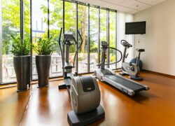 Salle fitness avec tapis roulant, vélo elliptique et vélo, face à une terrasse végétalisée.