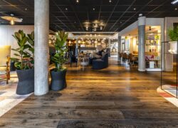 Lobby avec boutique gourmande et nounours Novotel assis sur un canapé bleu roi, plafond noir et sol en parquet foncé.