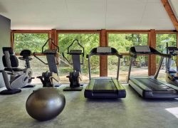 Salle de sport avec sol en béton gris, un vélo allongé et un gros ballon de gym gris au premier plan, deux steppers et deux tapis de course avec écrans numériques au centre, et un vélo elliptique à droite, le tout devant des fenêtres à cadre bois donnant sur des arbres, équipée pour un séminaire bien-être.