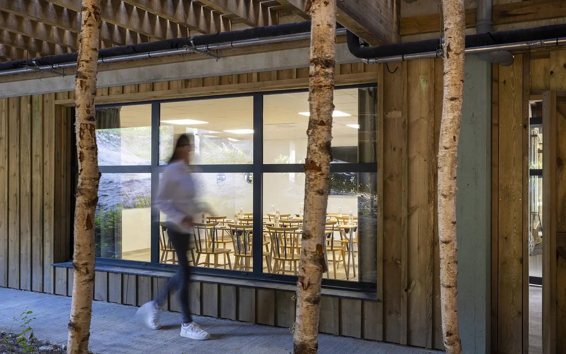Exterior view of a meeting room within a wood-clad building, featuring large black-framed windows revealing classroom-style tables and chairs inside at the center, birch tree trunks in the foreground, and a pedestrian walking along the wooden deck on the left; the façade combines natural timber finishes and contemporary architectural details.