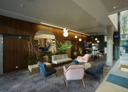 Espace lounge du hall d'hôtel adapté à un séminaire en ville, avec des fauteuils roses et bleu foncé disposés autour d'une table basse au premier plan, une banquette beige et des plantes vertes près d'un miroir rond contre un mur habillé de bois, des suspensions lumineuses sphériques au-dessus, une colonne en béton et une entrée vitrée donnant sur des arbres à droite, et un sol recouvert de moquette grise à motifs.