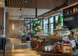 Hotel café with a stone-clad counter displaying pastries and sandwiches under glass domes in the foreground, wooden bar stools lined up along the counter, a wall sign reading "NH Café-Saint EX." on the right, tall potted plants and hanging pendant lights above, and open wooden shelving with glassware and decorative bottles in the background, a café offering on-site dining.