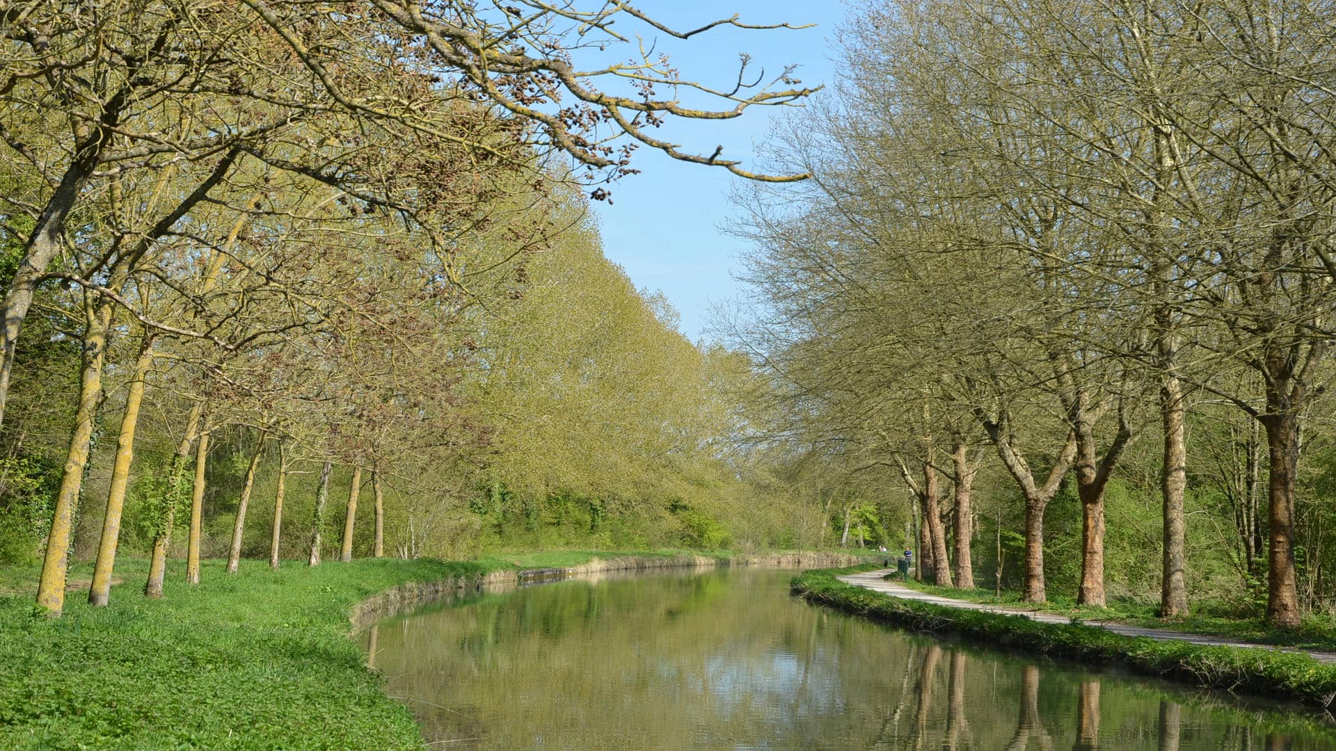 Le canal de l’Ourcq, bordé d’arbres et d’une végétation luxuriante sous un ciel bleu dégagé.