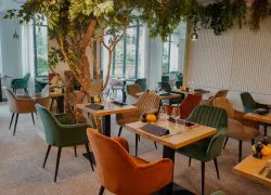 Salle de restaurant pour restauration sur place avec tables carrées en bois dressées de verres à vin, serviettes foncées et petites courges orange au premier plan, entourées de chaises en velours vert, orange et beige, un arbre artificiel illuminé de guirlandes lumineuses s'élevant au centre, et de grandes fenêtres laissant apercevoir de la verdure à l'extérieur en arrière-plan.