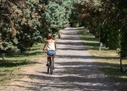 Femme vue de dos, en short, faisant du vélo dans une allée bordée d’arbres de chaque côté, illustrant une activité de team building proposée par un hôtel séminaire au vert.